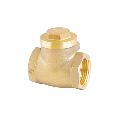 1/2 &quot;DN15 DN20 DN25 DN32 DN40 DN50 DN65 DN80 DN100 অনুভূমিক ব্রাস বল চেক ভালভ